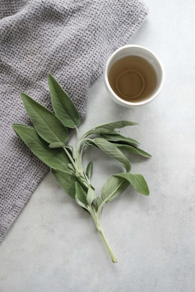 Preparing green herb sitting on the table next to a cup of water.